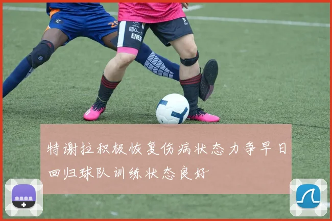 特谢拉积极恢复伤病状态力争早日回归球队训练状态良好