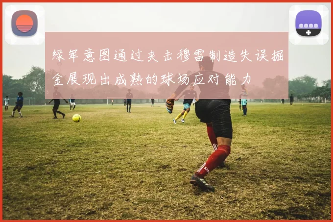 绿军意图通过夹击穆雷制造失误掘金展现出成熟的球场应对能力