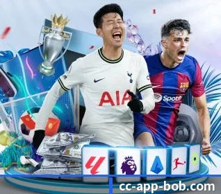 BOB体育 APP - BOBSPORTS