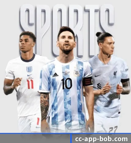 BOB体育围绕看球场景设计的核心服务（BOBSPORTS）